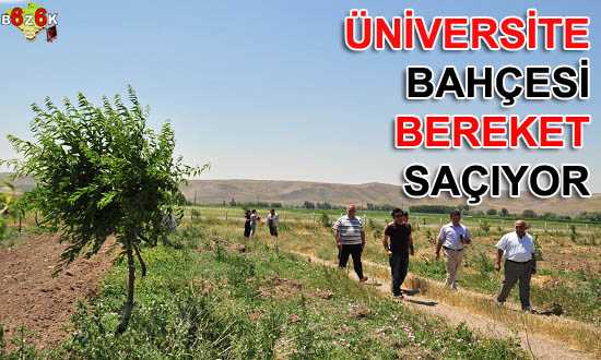 ÜNİVERSİTE BAHÇESİ BEREKET SAÇIYOR