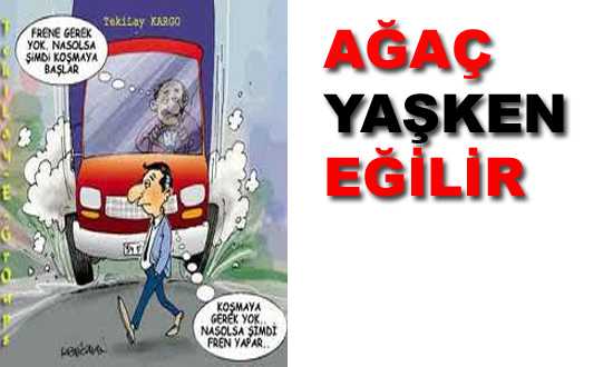 AÐAÇ YAŞKEN EÐİLİR