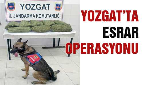 YOZGAT’TA ESRAR OPERSAYONU