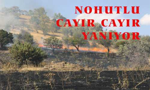 NOHUTLU CAYIR CAYIR YANIYOR