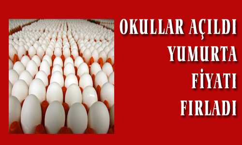 OKULLAR AÇILDI YUMURTA FIRLADI