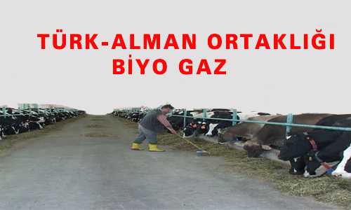 TÜRK-ALMAN ORTAKLIÐI BİYOGAZ