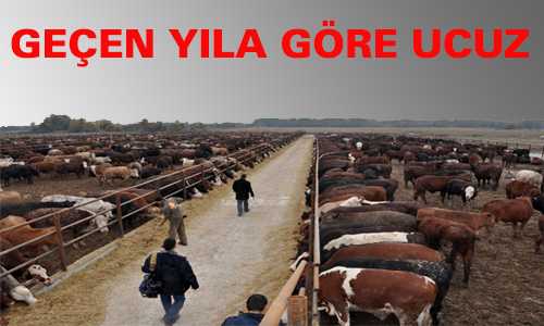 GEÇEN YILA GÖRE DAHA UCUZ