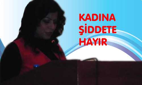 İNSAN HAKLARI VE KADINA ŞİDDET KONULU PANEL