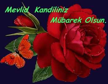 MEVLİD KANDİLİNİZ MÜBAREK OLSUN