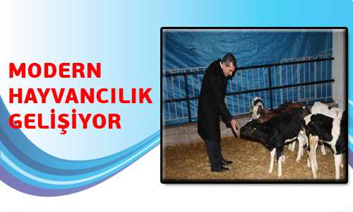 MODERN HAYVANCILIK GELİŞİYOR