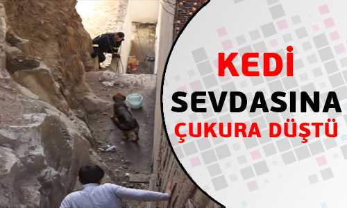 KEDİYİ KOVALARKEN KUYUYA DÜŞTÜ
