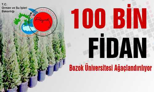 100 BİN AÐAÇLA BOZOK ORMANI KURULACAK