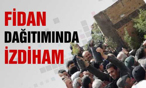 BEŞ BİN FİDAN TOPRAKLA BULUŞACAK