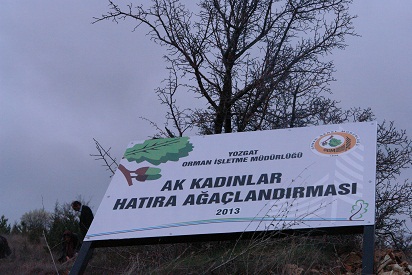 AK KADINLARIN ORMANI