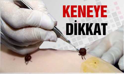 ÇEKEREK’TE KENE UYARISI YAPILDI