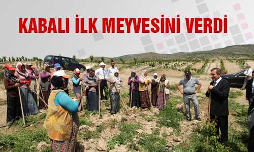 KABALIDA YÜZLER GÜLÜYOR