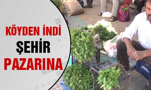 KÖY BAHÇESİNDEN ŞEHİR PAZARINA
