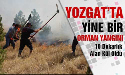 10 DEKARLIK ALAN KÜL OLDU