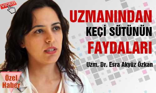 KEÇİ SÜTÜ ANNE SÜTÜNE EN YAKIN SÜT