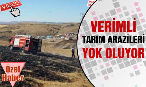 ANIZLA BİRLİKET CANLILARDA YOK OLUYOR