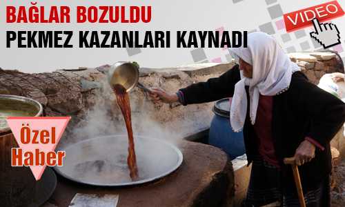 BAÐ BOZUMUYLA PEKMEZLER KAYNADI