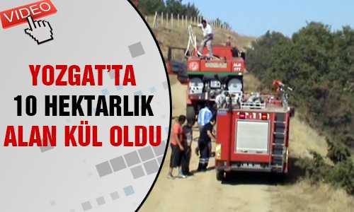 YOZGAT’TA 10 HEKTARLIK ALAN YANDI