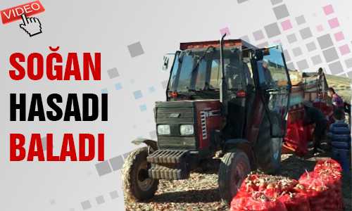 SOÐAN ÜRETİCİSİ DERTLİ