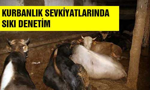 KURBANLIKLARA SIKI DENETİM