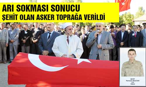 NÖBET DEÐİŞİMİNDE ARI SOKTU HAYATINI KAYBETTİ
