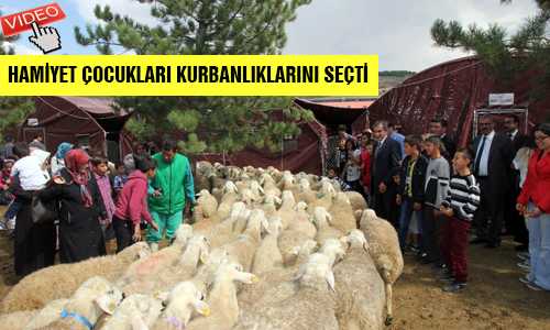 HAMİYET ÇOCUKLARI KURBANLIKLARINI SEÇTİ