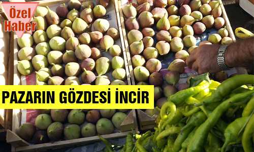 MUSABEYLİ İNCİRİNİN TADI BİR BAŞKA
