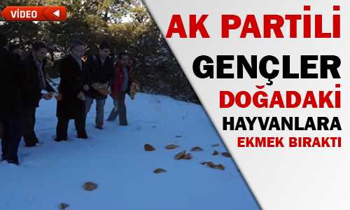 AK GENÇLİK DOÐADAKİ HAYVANLARA EKMEK BIRAKTI