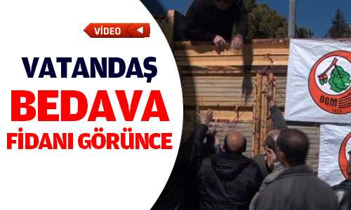 VATANDAŞA BEDAVA FİDAN DAÐITILDI