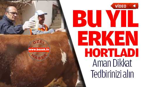 Kışın Kurak Geçmesi Kenelerin Erken Uyanmasına Neden Oldu