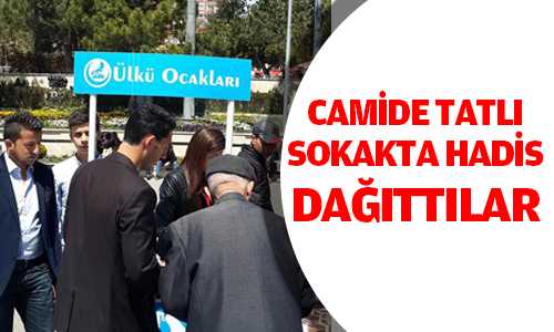Ülkü Ocaklarından Tatlılı Kutlu Doğum