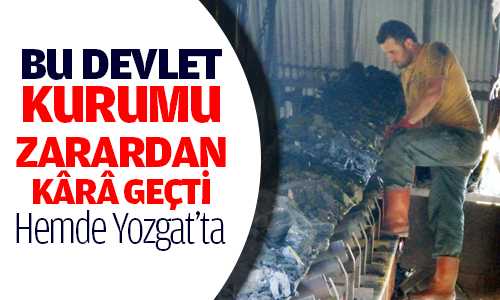 Yeni Çeltek İki Yılda Kara Geçip Yarımlarda Bulundu