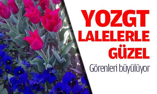 Yozgat’ta Lalelerle Daha Güzel