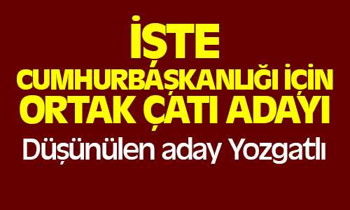 Ortak Çatı Adayı Ekmeleddin İhsanoğlu