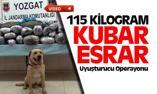 Yerköy’de 115 Kilogram Kubar Esrar Ele Geçirildi