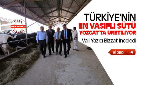 En Vasıflı Süt Yozgat’ta