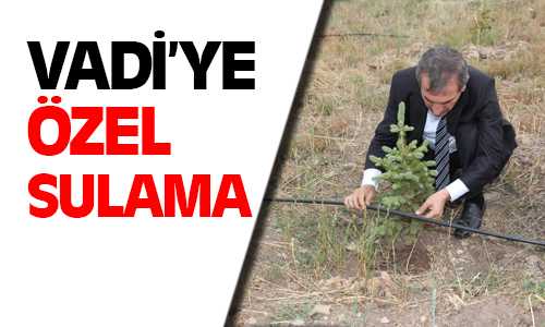 Spor Vadisi Damlama Su Sistemiyle Sulanacak