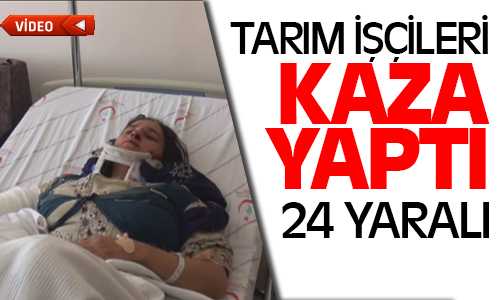 Tarım İşçileri Kaza Yaptı 24 Yaralı