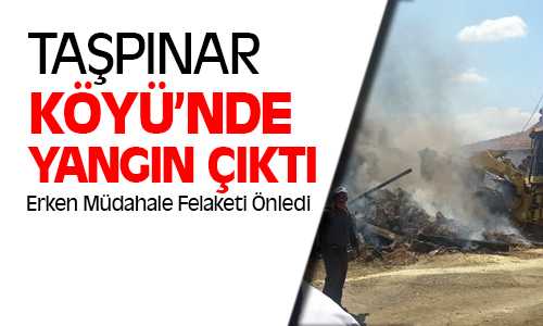 Taşpınar Köyünde Çıkan Yangın Korkuttu