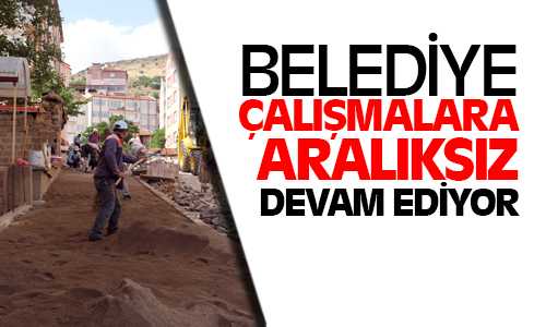 Başkan Arslan, Cadde-Sokak Düzenlemesi Devam Ediyor