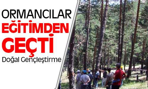 Akdağmedeni Orman İşletmesinde Ormancılara Seminer Düzenlendi