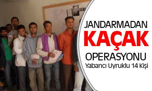 İl Jandarma Ekiplerinden 14 Yabancı Uyruklu Şahıs Yakaladı