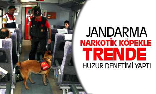 Jandarma Narkotik Köpeklerle Trende Huzur Denetimi Yaptı