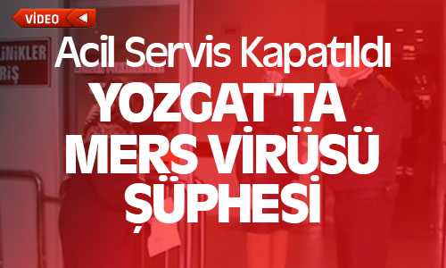 Yozgatta Mers Virüsü Şüphesi