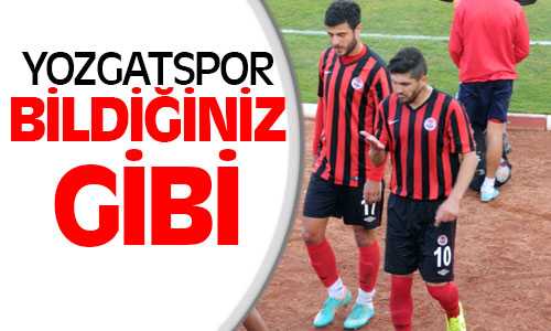 Yozgatspor’un Yine Evinde Yüzü Gülmedi