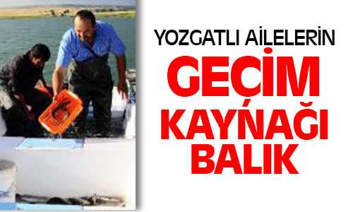 Balık Yozgatlı Ailelerin Geçim Kaynağı Oldu