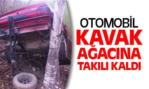 Yerköy’de Otomobil Kavak Ağacına Takılı Kaldı