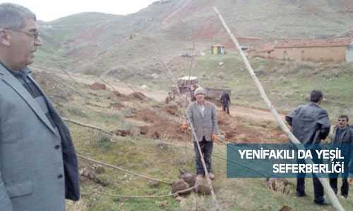 Yenifaklıl da Ağaçlandırmalar Hız Kazandı