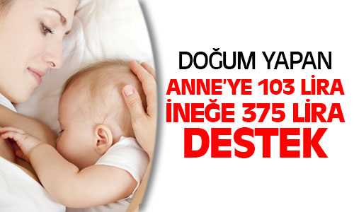 Anne’ye 103 Lira İneğe 375 Lira