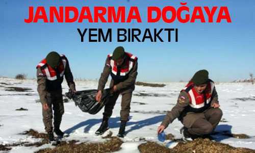 Yozgat Jandarma Kuşlar İçin Doğaya Yem Bıraktı